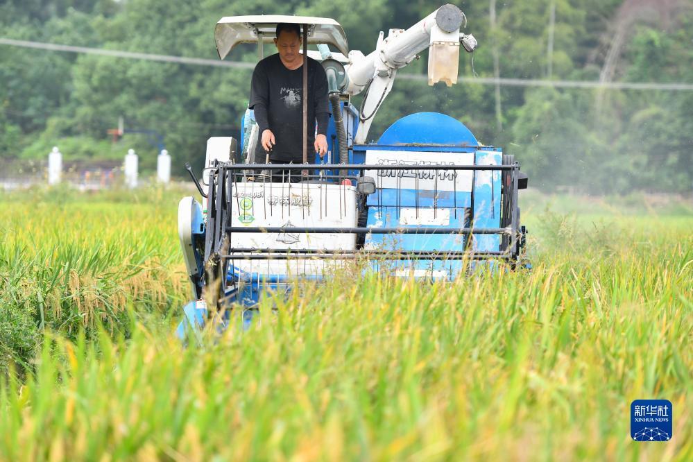 游戏打鱼游戏